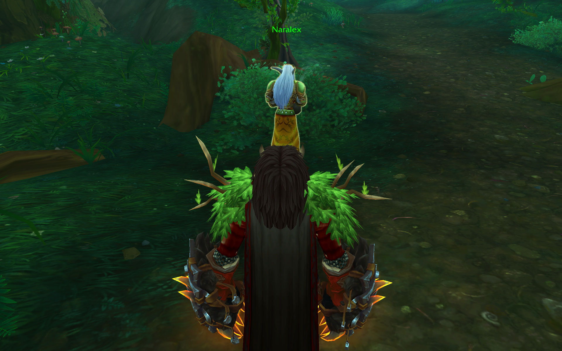 Naralex waters a bush