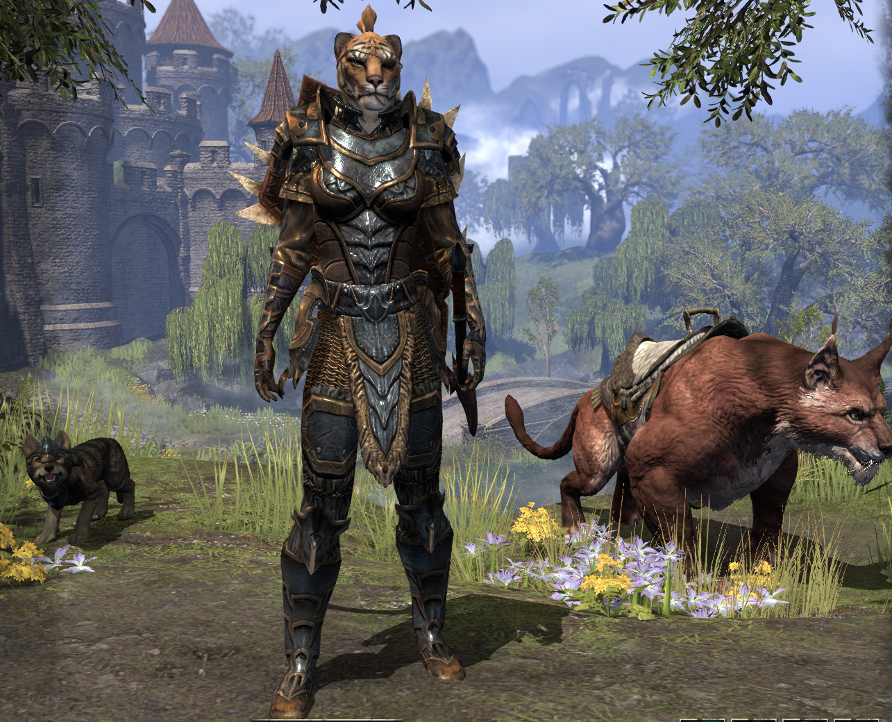 Khajiit can tank, if you have coin