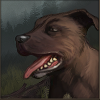 Woof