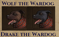 WolfDrake