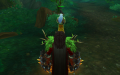 Naralex waters a bush