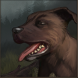 Woof