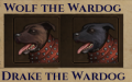 WolfDrake