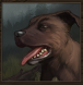 Woof