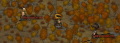 Blood Woods Bandits II